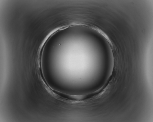 X0000086011148200703301005