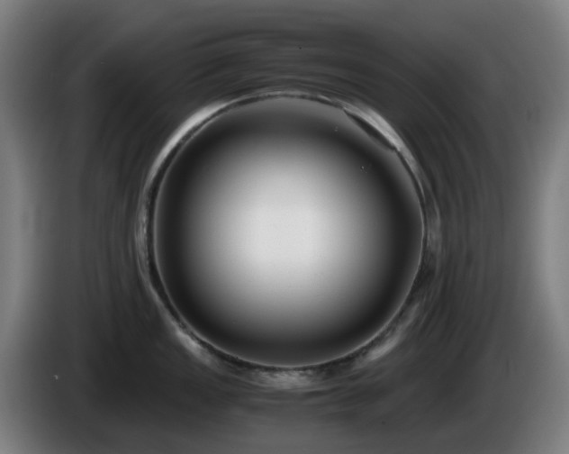 X0000086011149200703301005