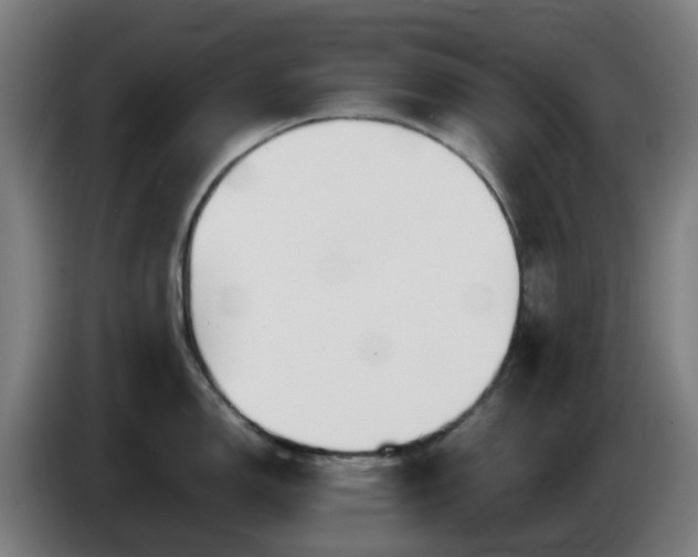 X0000086011150200703301005