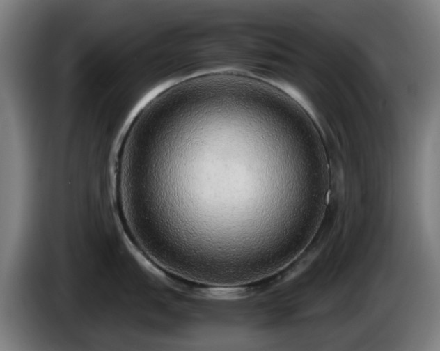 X0000086011151200703301005