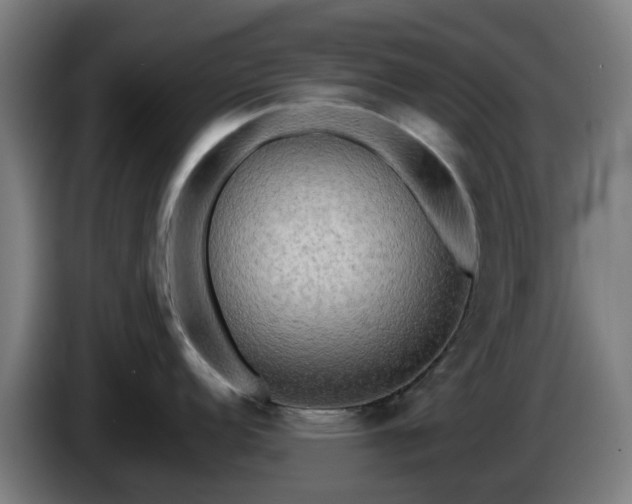 X0000086011152200703301005