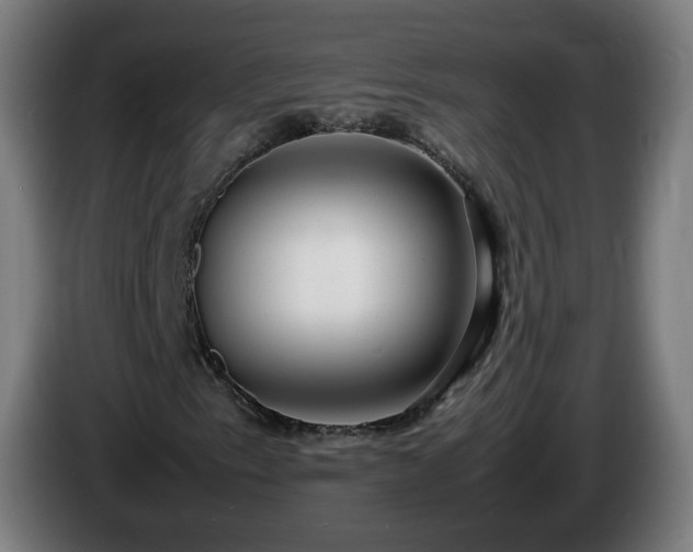 X0000086011153200703301004