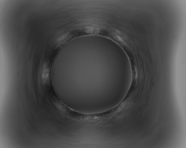 X0000086011154200703301004