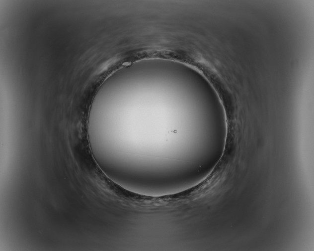X0000086011159200703301004