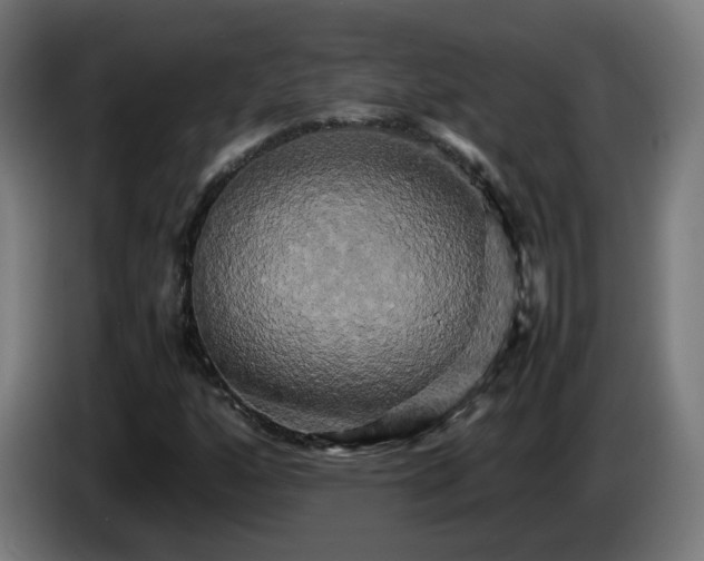 X0000086011160200703301004