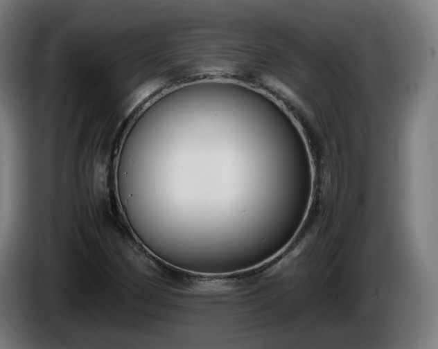 X0000086011162200703301004