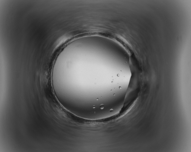 X0000086011163200703301004