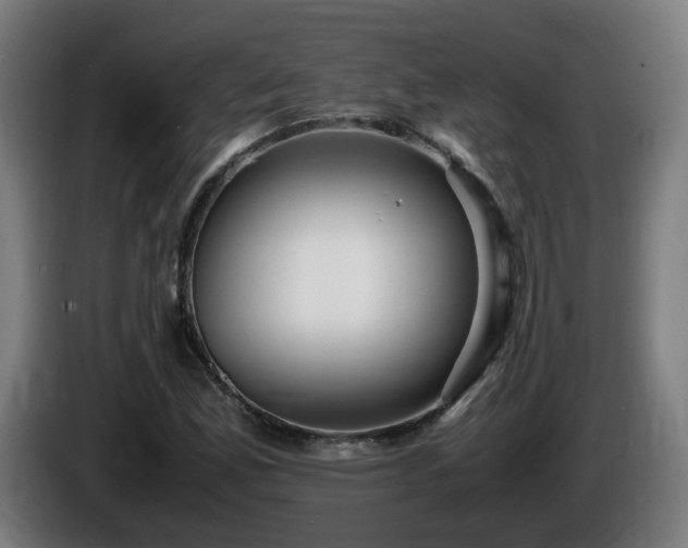 X0000086011165200703301004