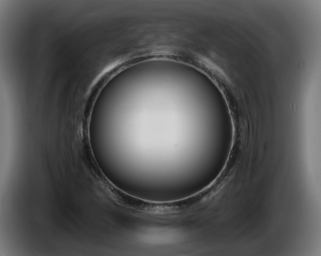 X0000086011166200703301004