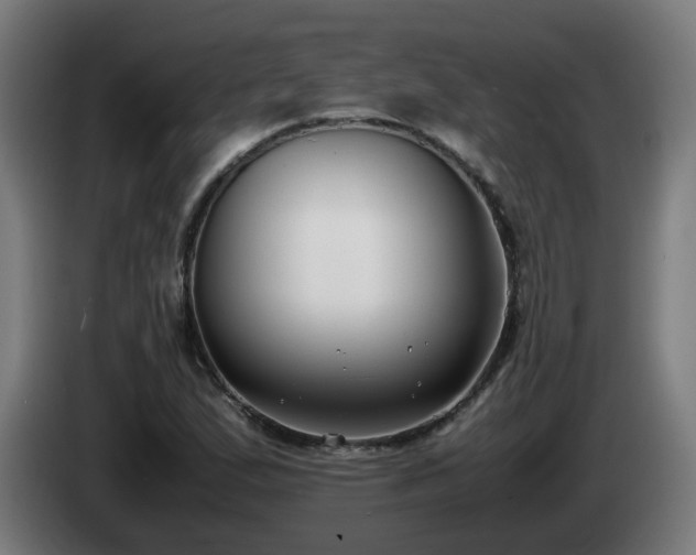 X0000086011167200703301004