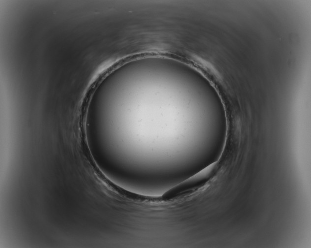 X0000086011168200703301004