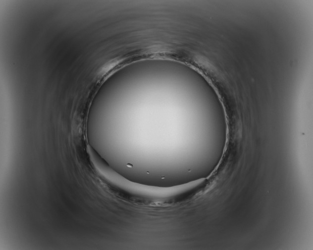 X0000086011169200703301004