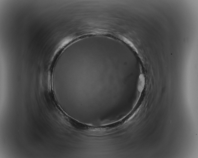 X0000086011171200703301004