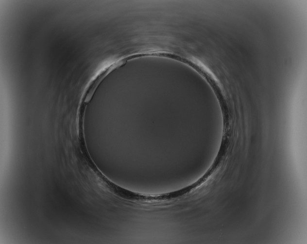 X0000086011173200703301004