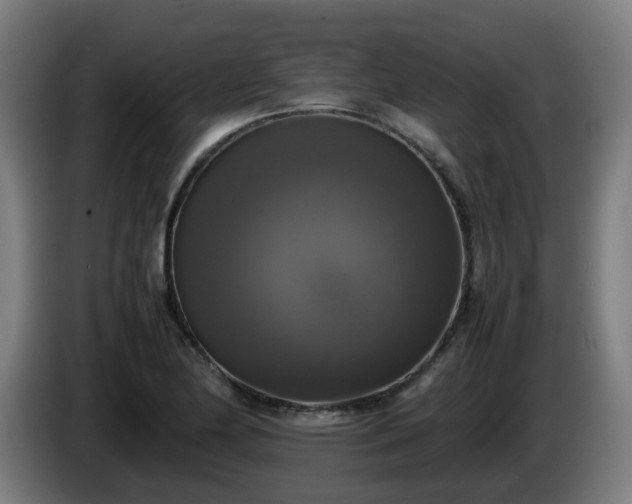 X0000086011174200703301004
