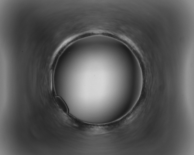 X0000086011175200703301004