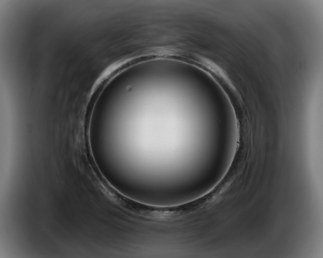 X0000086011176200703301004