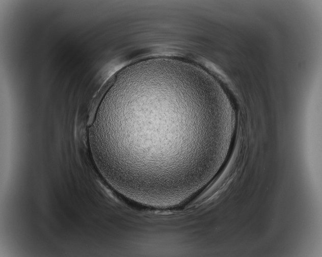 X0000086011177200703301004