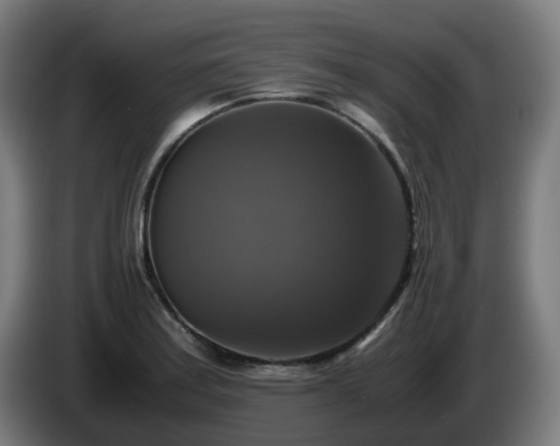 X0000086011179200703301004
