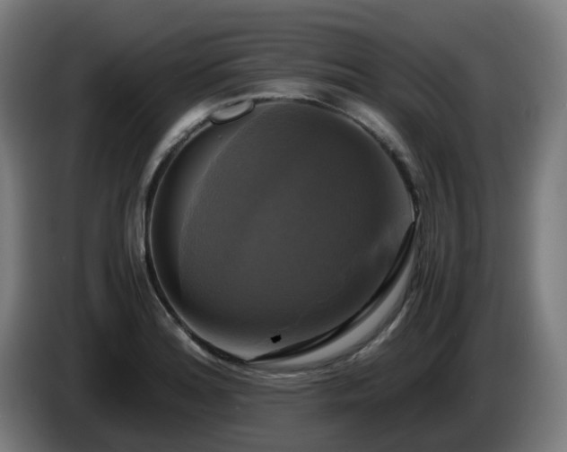 X0000086011180200703301004