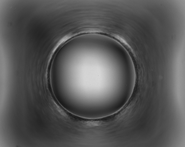 X0000086011181200703301004