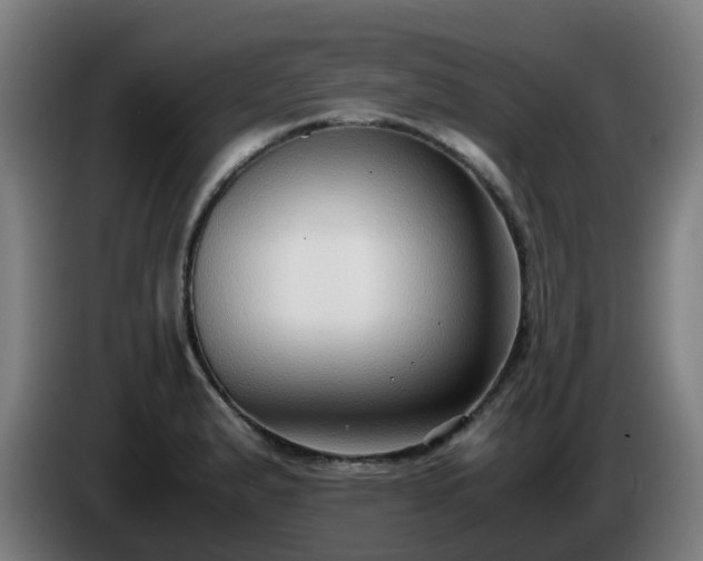 X0000086011183200703301003