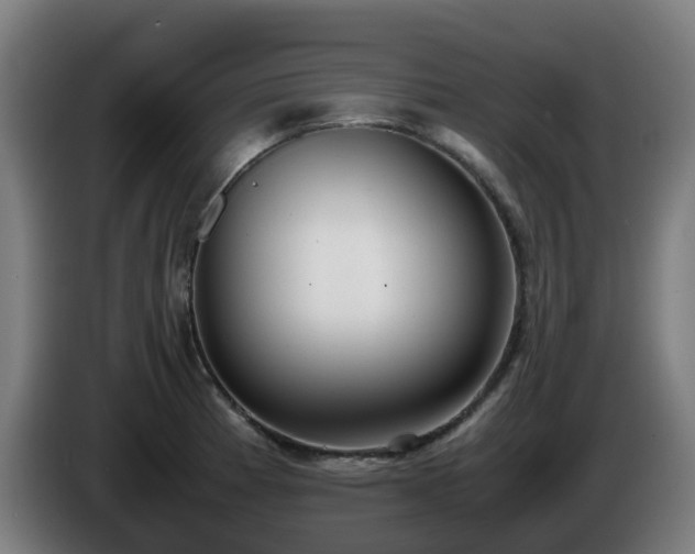 X0000086011185200703301003
