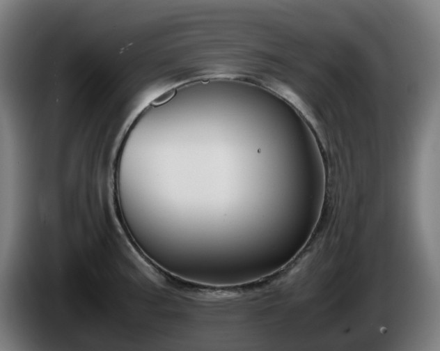 X0000086011187200703301003