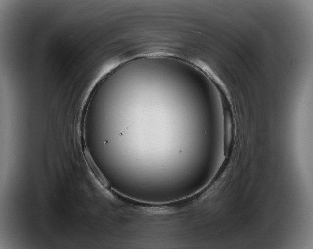 X0000086011189200703301003