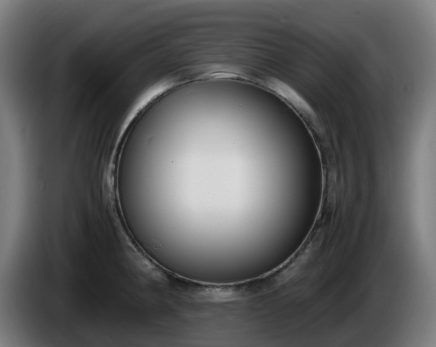 X0000086011190200703301003