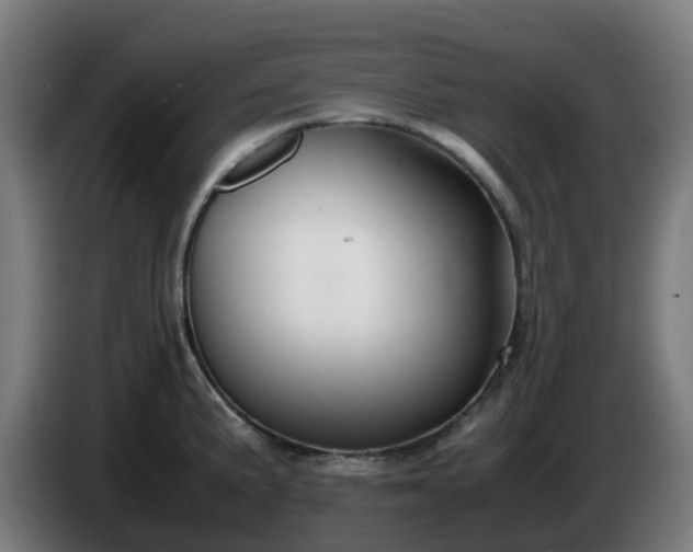 X0000086011191200703301003