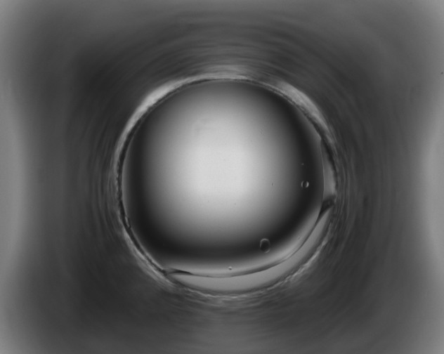 X0000086011192200703301003