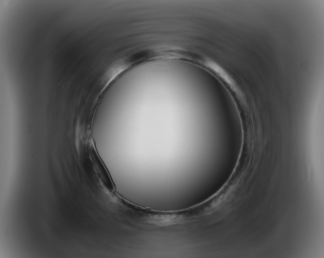 X0000086011193200703301003