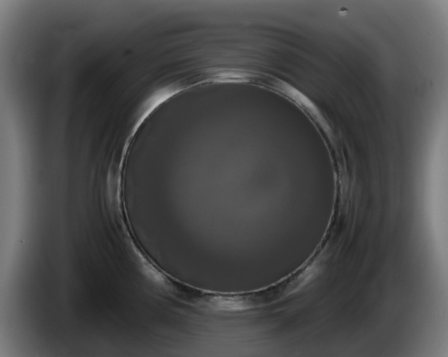 X0000086011194200703301003