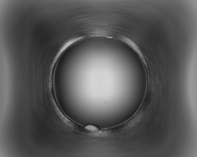 X0000086011195200703301003