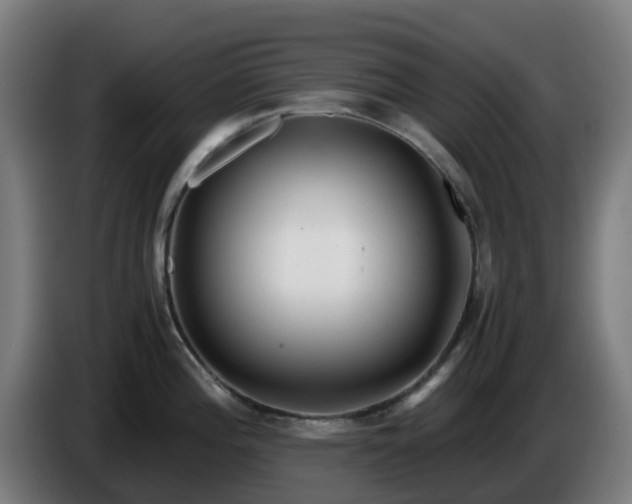 X0000086011196200703301003