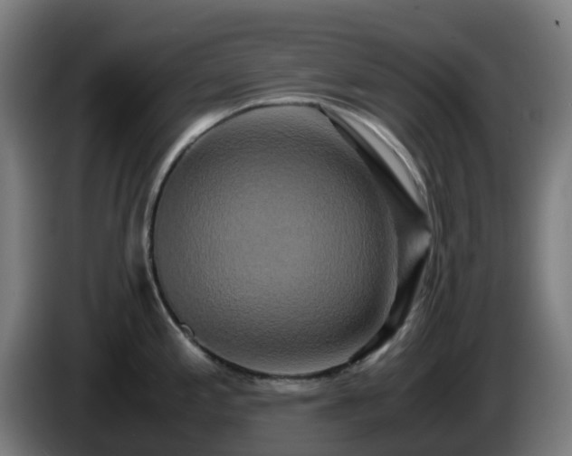 X0000086011197200703301003