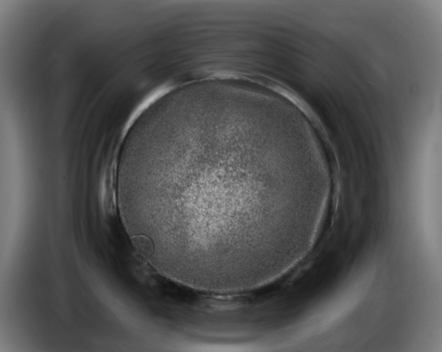 X0000086011198200703301003