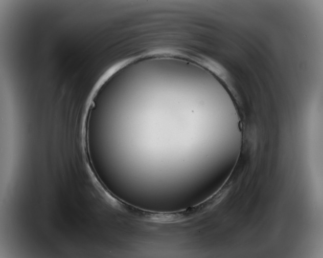 X0000086011199200703301003