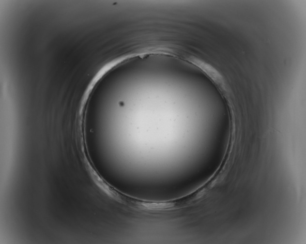X0000086011200200703301003