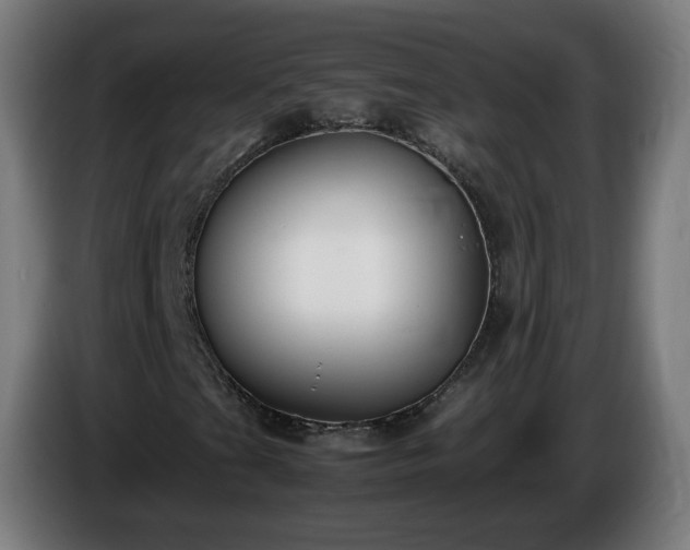 X0000086011201200703301003