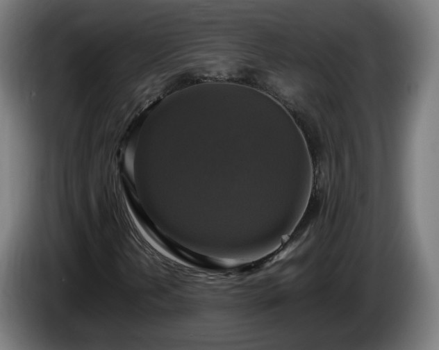 X0000086011202200703301003