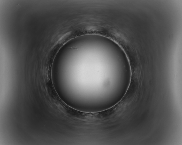 X0000086011205200703301003