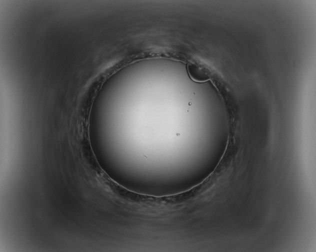 X0000086011207200703301003
