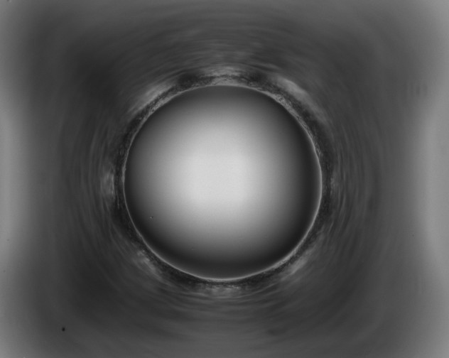 X0000086011209200703301003