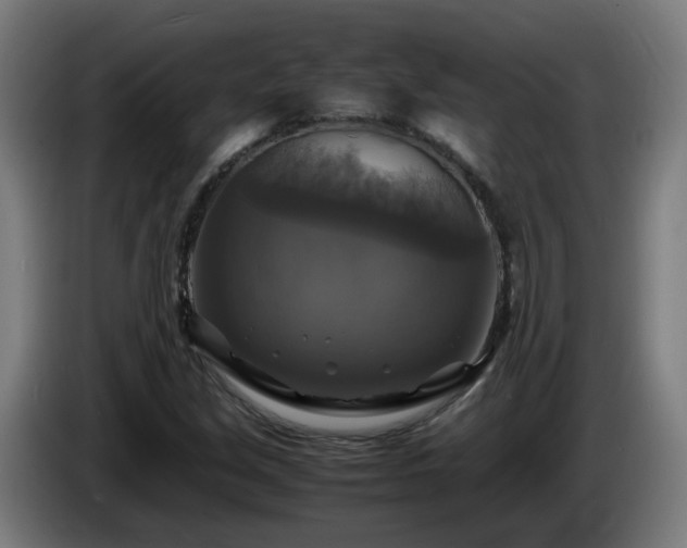 X0000086011213200703301003