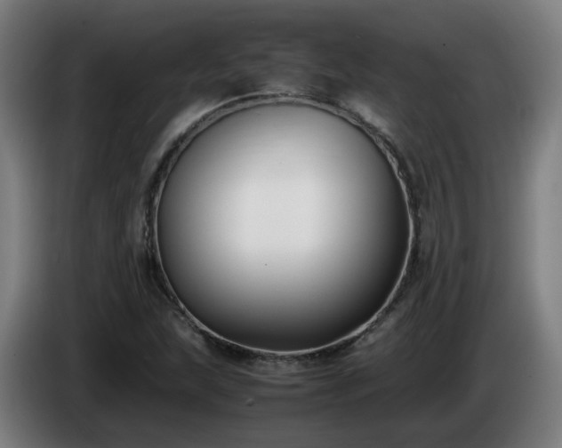 X0000086011215200703301003