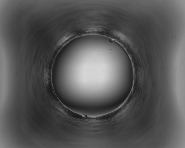 X0000086011217200703301003