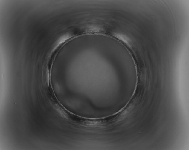 X0000086011219200703301003