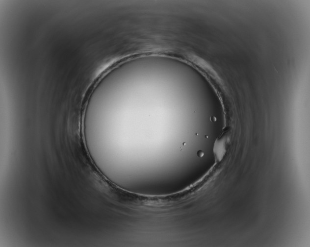 X0000086011220200703301003